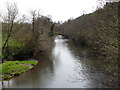 The view upstream from New Bridge on the river Torridge