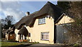 Boscombe - Thatched Cottage