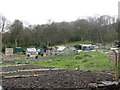 Allotments, Taylor Hill Road