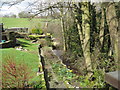 Chapel Burn and Garden at Chapelburn