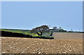 Hedge-line leading toward the B4265 and Seaview - Gilestone