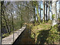 The mill race feeder at Wellbrook Beetling Mill,Cookstown