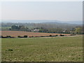 Rear view of the Garden centre on the A283