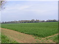 Fields off Pound Lane