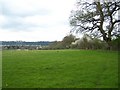 Footpath through field, West Dean