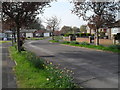 Approaching a bend in Inhurst Avenue