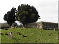 Donaghrisk Old Graveyard