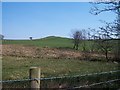 Marsh and Knoll east of the Ymwlch road