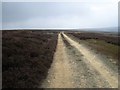SE5998 : Track over Slape Wath Moor by Philip Barker