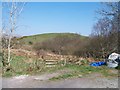 View past deciduous woodland to Bryn Hywel hill