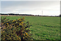 Farmland near Westhill