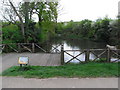 Larger pond, Lyppard Grange Local Nature Reserve