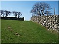 Adwy ar frig y bryn/ Gap on the crest of the hill