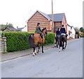 Side saddle riders, Broad Chalke