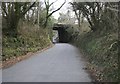 LSWR Exeter - Plymouth railway low bridge