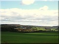 Young crop near Newton Farm