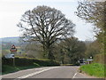 A358 towards Axminster