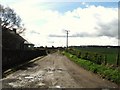 Track to Coalden Farm