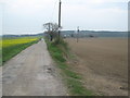 Access road to Burgess Farm