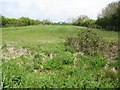 Field by Riverside Farm