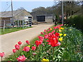 Spring on Pigbush Lane