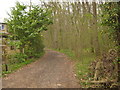 Bridleway to Radfall Road