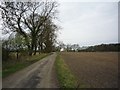 Bridleway to White House Farm