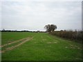 Towards Lodge Farm