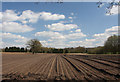 Farmland near Merton