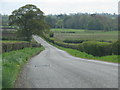 Road across Shapwick Heath