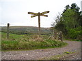 Footpath crossroads