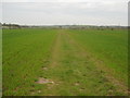 Footpath to Molehill Road