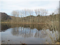 Reflections in Loch Faskally