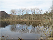NN9159 : Reflections in Loch Faskally by Lis Burke