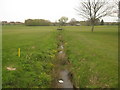 Plenty stream, looking downstream