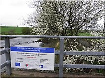 H4869 : Omagh Angler's Association notice, Bloody Bridge by Kenneth  Allen