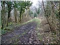 SD1194 : Footpath near Waberthwaite by Maigheach-gheal