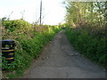 Old Lane out of Keynsham