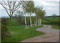 Farm track near Clarborough Grange