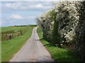 Whinleys Road in the spring