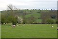 Field near Wern farm