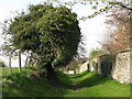 Footpath alongside Town Farm Field