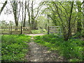 New gate and fencing near Smale Farm