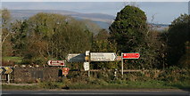 G9413 : Mountallen, County Roscommon by Sarah777