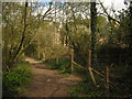 Bridleway and footpath junction in Beacon Wood