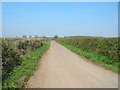 New Road heading north from Brooksbreasting Farm