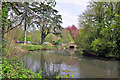 North end of Roath Park Lake - Cardiff