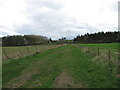 NZ2097 : Track S of Home Farm, Eshott by Alex McGregor