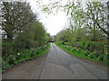 Lane to Home Farm, Eshott