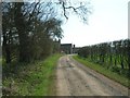 Kennel Lane heading south (footpath)